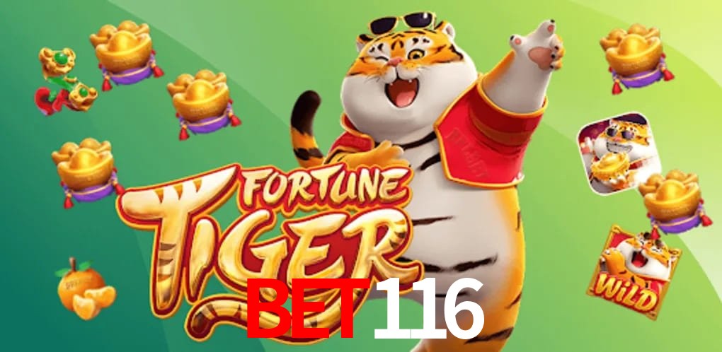 Experiência VIP bet116